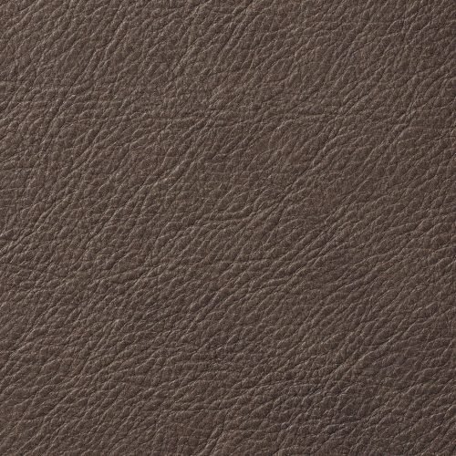 EW BROWN swatch 09 2022