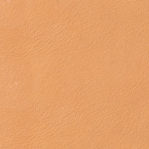 EW TERRACOTTA swatch 2023 11 PDP