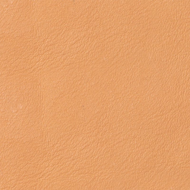 EW TERRACOTTA swatch 2023 11 P