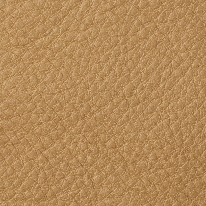 HO CAMEL swatch 2023 11 P.psd