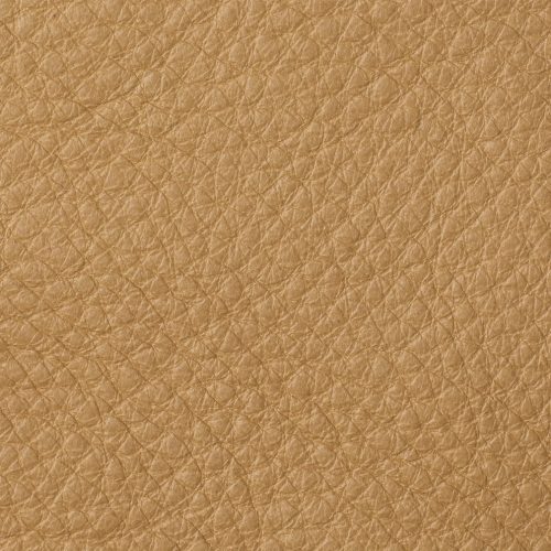 HO CAMEL swatch 2023 11 PDP