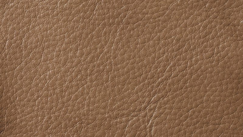 KQ CARAMEL swatch 09 2022 cfff124b 4a97 48d9 9d8d 82bbfa35dc13